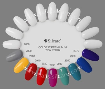 Гибридный лак Silcare Color it Premium