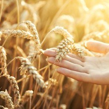МУКА из ДРЕВНЕЙ ПШЕНИЦЫ 2AB легкая FODMAP 1 кг