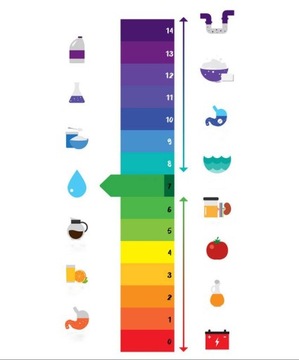 CHEMSPEC Kill Odor Plus 5л нейтрализатор запаха