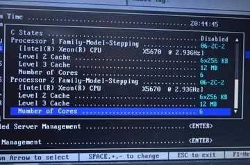 DELL R710 2x5670, DDR3 48 ГБ, IDRAC, FV GW.