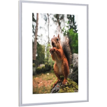 ФОТОРАМКА СЕРЕБРЯНАЯ АЛЮМИНИЕВАЯ РАМА 50x60