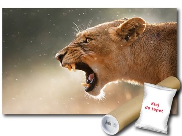 ФОТОобои LIONOSE LION ROAR 12C FXL 208x146 F3615