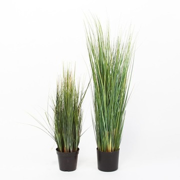 искусственная GRASS Dogtail 120 см в травяном горшке