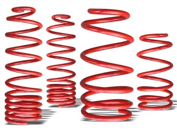 Springs sports seat leon 1m 99-2005 1. 8l 1. 9tdi 40/ 40mm, фото