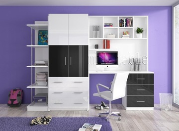 Furniture set for children 1 youth, tall gloss, фото