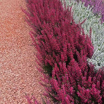 Garden gravel shades of beige, shades of beige red, colorful 20 kg, фото