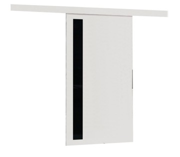 Sliding door wall-mounted multifunctional 100 m - 5 patterns з overlay (grille), фото