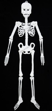 Костлявый монстр скелет украшение наряд
