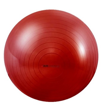 Реабилитационный мяч большой диаметр: 55 см + насос GM55