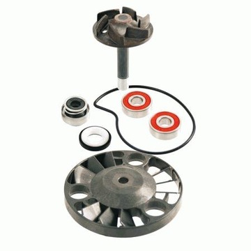 SET / SATZ REPARATUR PUMPE WASSER PIAGGIO X8 X9 GILERA