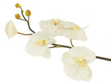biały STORCZYK ORCHIDEA KWIATY SZTUCZNE 108 cm