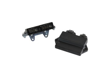 KOMPUTER ECU MODUŁ YAMAHA GRIZZLY 700/550