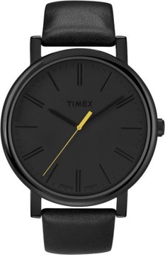 Oryginalny pasek do zegarka Timex T2N793 20 mm