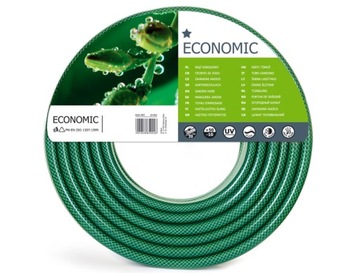 WĄŻ ECONOMIC 1