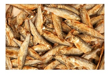 STYNKA SUSZONA 160G CAŁA DUŻA ŻÓŁW PŁAZ RAK GAD