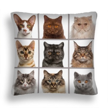 DUŻA 50*50 PODUSZKA RASY KOTÓW 46 COLLAGE MOZAIKA