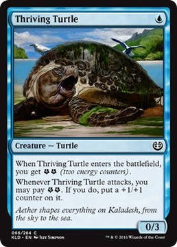 MTG 4x Thriving Turtle