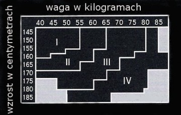 RAJSTOPY KRYJĄCE WEŁNA / BAWEŁNA 250 DEN ARCTICA 5