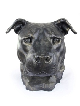 Amerykański Staffordshire Terrier Głowa Statuetka