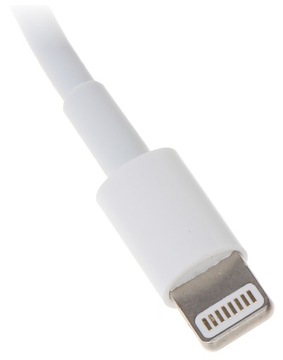 Кабельная заглушка Apple Lightning Cable / USB -плавка - 1M ABCV