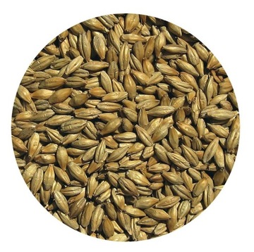 Słód WĘDZONY TORFEM Viking Malt 1kg