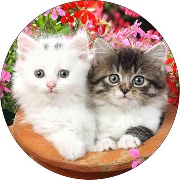 ВОЛНЫ для торта КОТЫ, диаметр 20 см, плотные, насыщенные цвета.