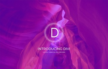 Пожизненные обновления Wordpress Divi, новый 2023 год