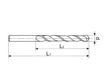 WIERTŁO DO METALU FI 0.9 MM CZARNE HSS NWKA 10 SZT