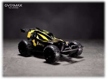 RC X RALLY 2.0 БОЛЬШАЯ РУ МАШИНА