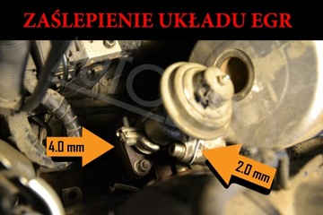 Заглушка - КОМПЛЕКТ EGR 1.7 1.9 2.0 SDI VW SKODA SEAT