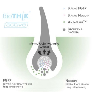 BioTHIK СЫВОРОТКА для мужчин, утолщение облысения