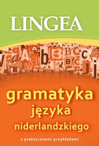 Gramatyka języka niderlandzkiego z przykładami