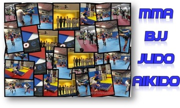 Mata TATAMI do judo, MMA, BJJ, Ju JItsu, Aikido