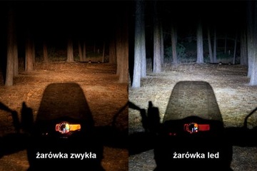 Żarówka LED H8 H11 CREE 80W 8000lm 6500K 12V CAN