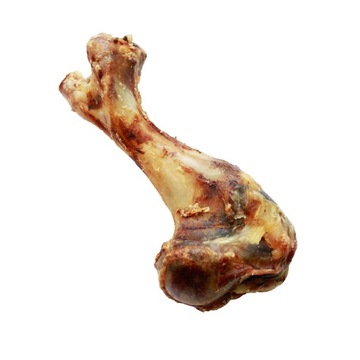 KOŚĆ WIEPRZOWA Z MIĘSEM SUSZONA - 1szt. ok. 20cm