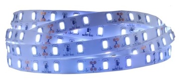 Taśma LED 5630 300 LED SMD IP20 12V biała ZIMNA 5m