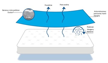 Матрас с защитой от клещей 90x200x14 Evolon
