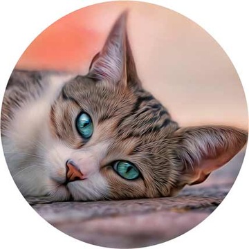 ВОЛНЫ для торта КОТЫ, диаметр 20 см, плотные, насыщенные цвета.