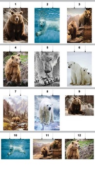 PLAKAT NIEDŹWIEDŹ MIŚ 59x42 CM 18 WZORÓW MATOWY