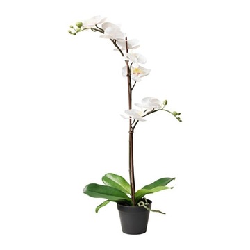 IKEA FEJKA STORCZYK ORCHIDEA Kolory 65 cm