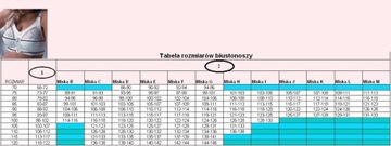 BIUSTONOSZ VIKI 583 NINA 85 H Biały