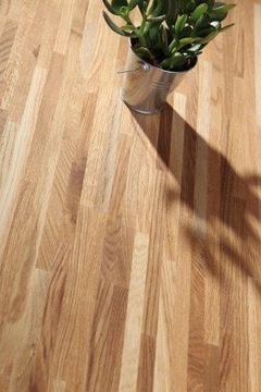 Półka Trep Stopień Schody Dąb 40x300x1500mm AV B/C