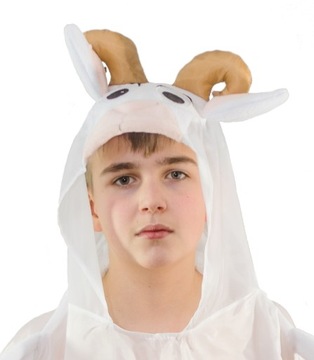 Owca owieczka strój owieczki pelerynka Jasełka