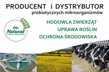 ПРОБИОТИК ДЛЯ ЛОШАДЕЙ 20Л МИКРООРГАНИЗМЫ