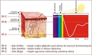 ИНФРАКРАСНАЯ САУНА МАЛАГА 5 КВАРЦЕВЫХ ИЗЛУЧАТЕЛЕЙ