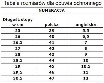 БЕЗОПАСНАЯ ЗАЩИТНАЯ ОБУВЬ BRLAKEREIS ZNB