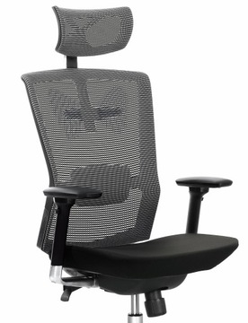 ERGONOMICZNY fotel obrotowy AMBASADOR gabinetowy
