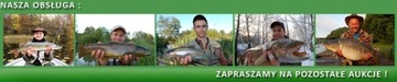 Леска Fiume Carp Weekend 600м 0.33мм 12.9кг