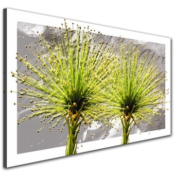 KWIAT DMUCHAWIEC 120x70 obraz do kuchni salonu na ścianę płótno