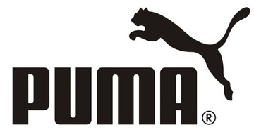 Saszetka biodrówka nerka PUMA Waist Bag Vapor